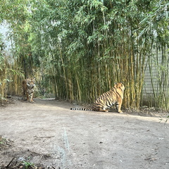 23-01-09 12-20-00 3872